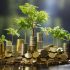 Understanding PNL: Unrealized PNL vs Realized PNL vs ROI